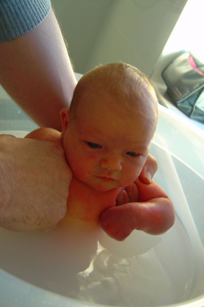 Image 22 of 56  -  31 kB